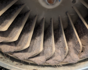 Dryer Repair