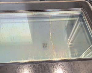 Oven Repair