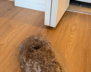 Dryer Repair